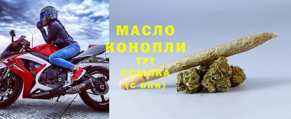 мдпв Инта