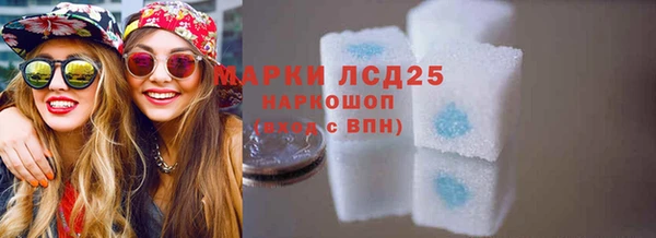 мдпв Инта