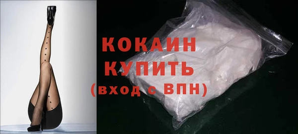 мдпв Инта