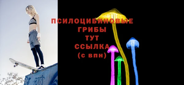 молекула духа Каменка