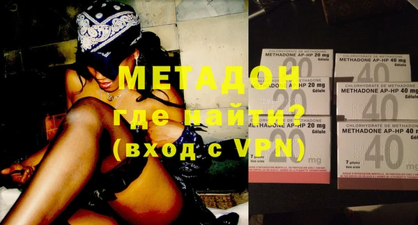 шишки Анива