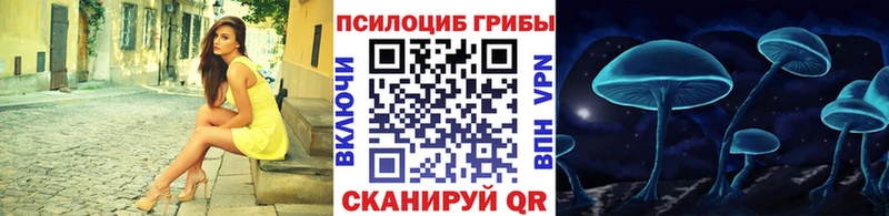 Галлюциногенные грибы Psilocybine cubensis Киселёвск